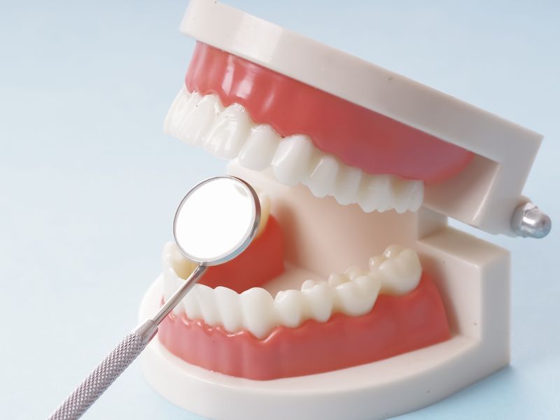 未来の健康を育てる、地域の予防歯科パートナー